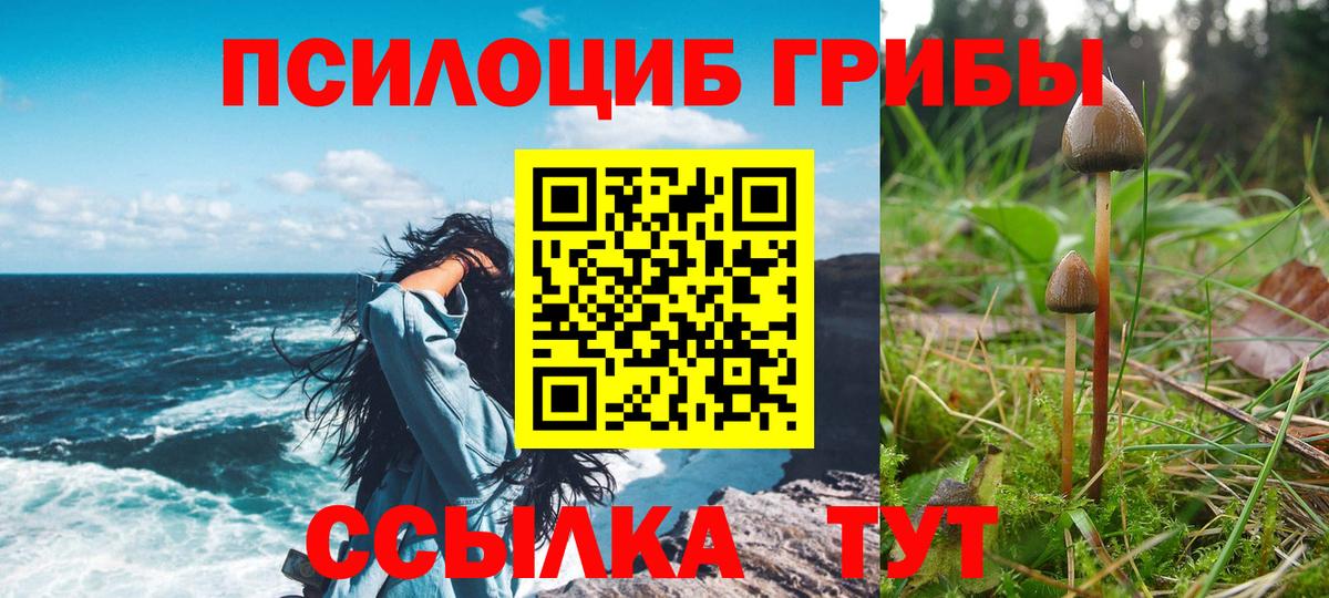 Галлюциногенные грибы Magic Shrooms  Вход с VPN  Михайловка 